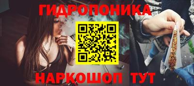 PSILOCYBIN Ирбит