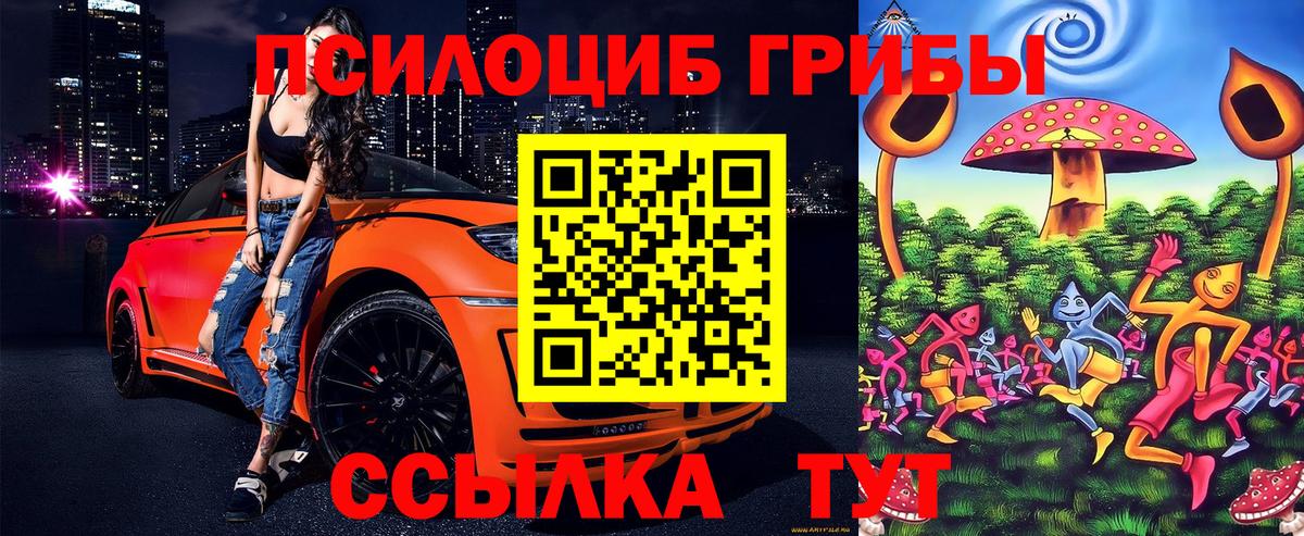 Псилоцибиновые грибы мицелий  Вход с VPN  Мичуринск 
