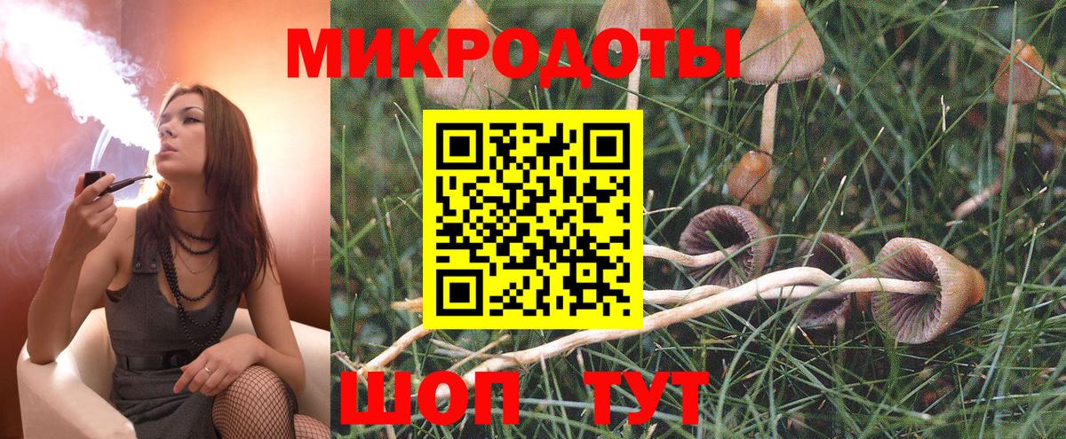 Галлюциногенные грибы мухоморы Мичуринск